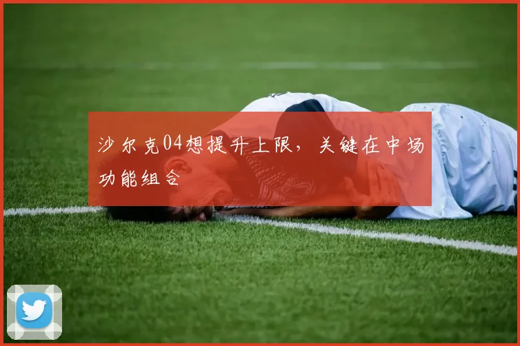 沙尔克04想提升上限,关键在中场功能组合