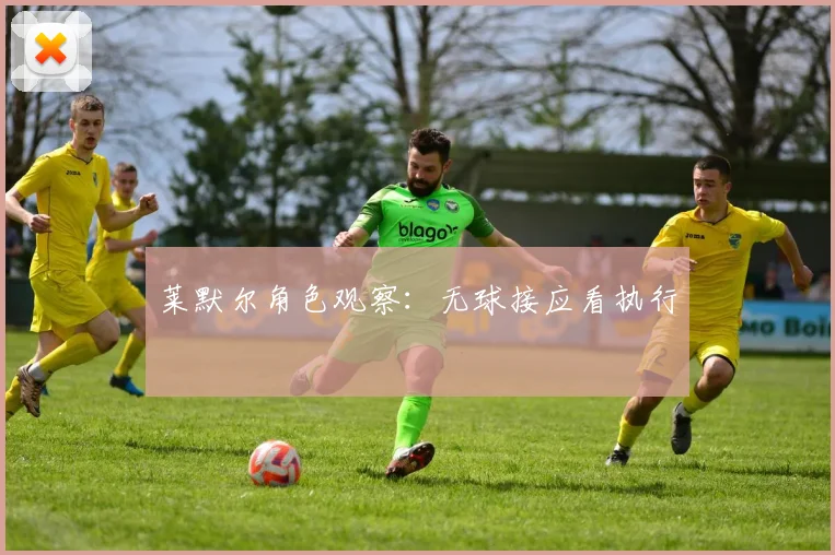 莱默尔角色观察：无球接应看执行