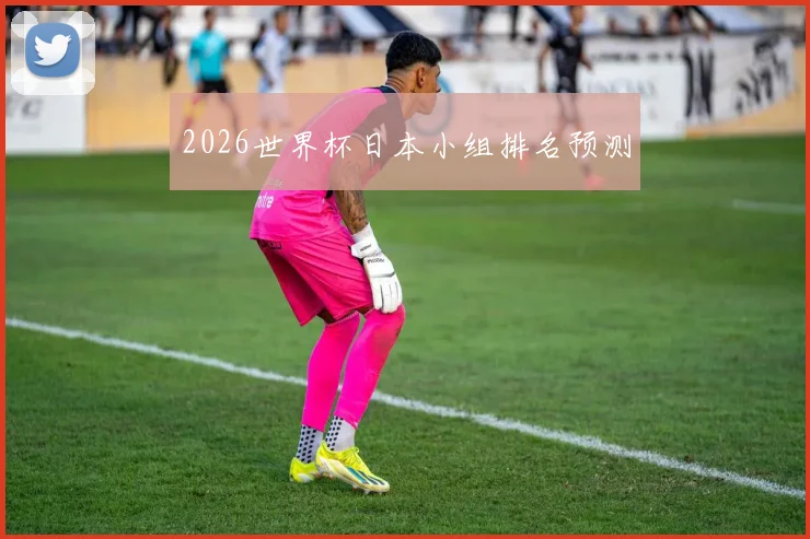 2026世界杯日本小组排名预测
